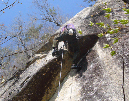 e0010166_14562127.gif
