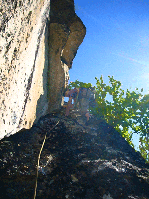 e0010166_14562158.gif