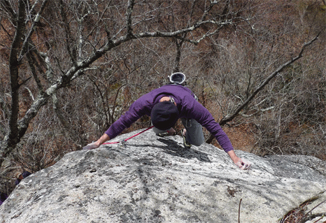 e0010166_14563463.gif