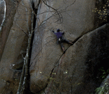e0010166_14565227.gif