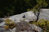 e0010166_14574154.gif