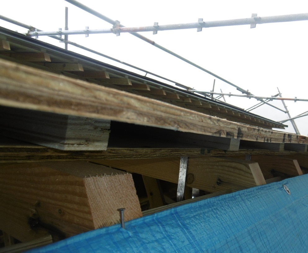 省エネルギーの屋根_f0205367_17582267.jpg