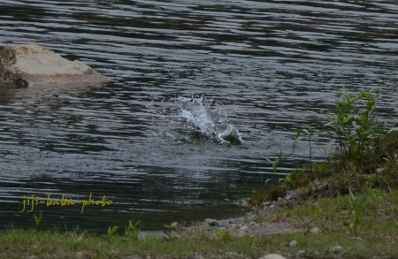 d0239891_10120100.jpg