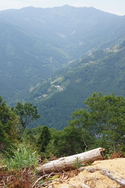d0181492_1753672.jpg