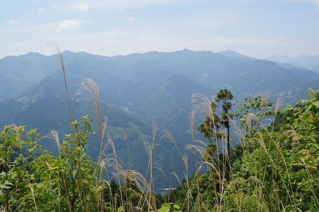 d0181492_17564445.jpg