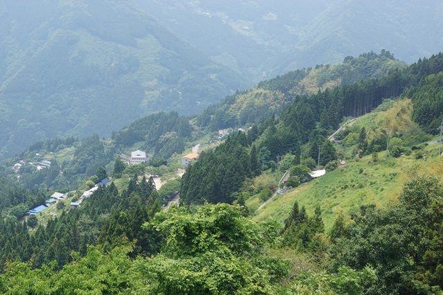 d0181492_1757474.jpg