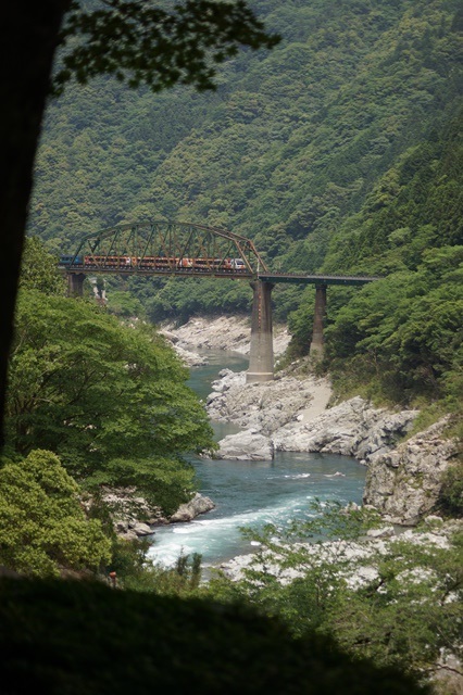 藤田八束の四国鉄道の旅: 落人伝説・・・四国路大歩危・小歩危を訪ねて、アンパンマン列車が大歩危を走る_d0181492_17594717.jpg