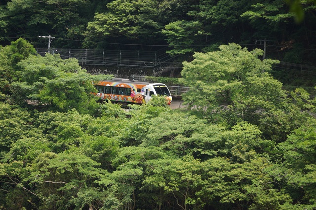 藤田八束の四国鉄道の旅: 落人伝説・・・四国路大歩危・小歩危を訪ねて、アンパンマン列車が大歩危を走る_d0181492_180321.jpg