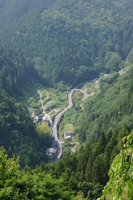 藤田八束の四国鉄道の旅: 落人伝説・・・四国路大歩危・小歩危を訪ねて、アンパンマン列車が大歩危を走る_d0181492_1813746.jpg