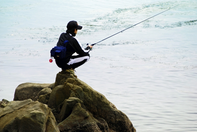 魚を与える人と釣り方を教える人_a0264693_729845.jpg