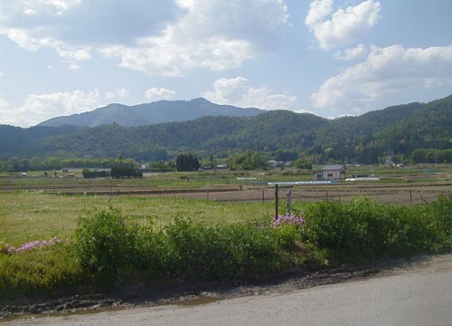 ●広沢池、その3_d0053294_1454370.jpg