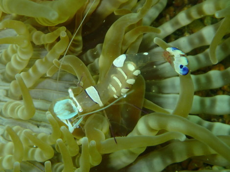 e0115199_19043890.jpg