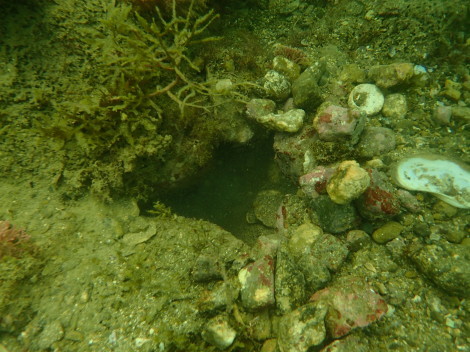 e0115199_19050377.jpg