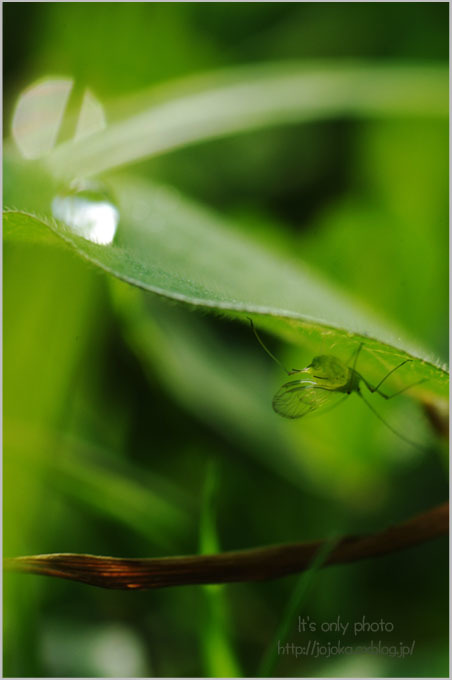 雨宿_e0008800_19551287.jpg