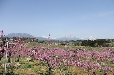 長野(５月１日)_d0292102_013650.jpg