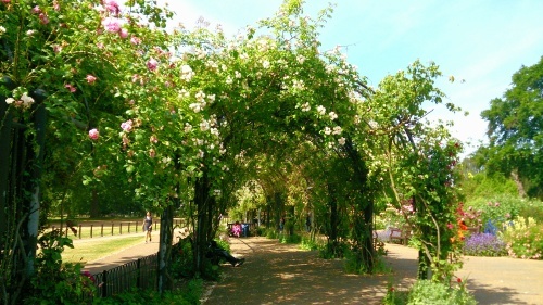 薔薇 DE ランチ～ハイドパーク・ローズ・ガーデン＆サーペンタイン湖_e0346002_02184654.jpg