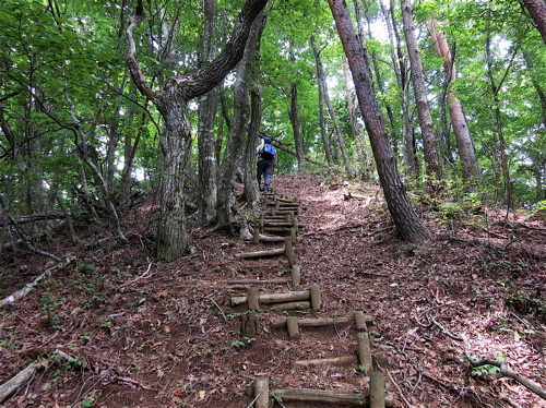 胡麻峠から三国岳_a0164011_12104251.jpg