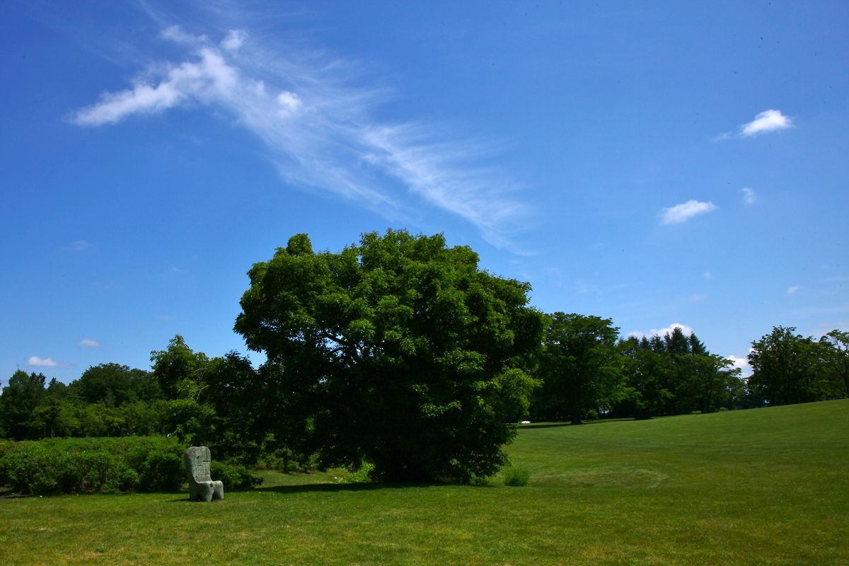 c0367515_114365.jpg