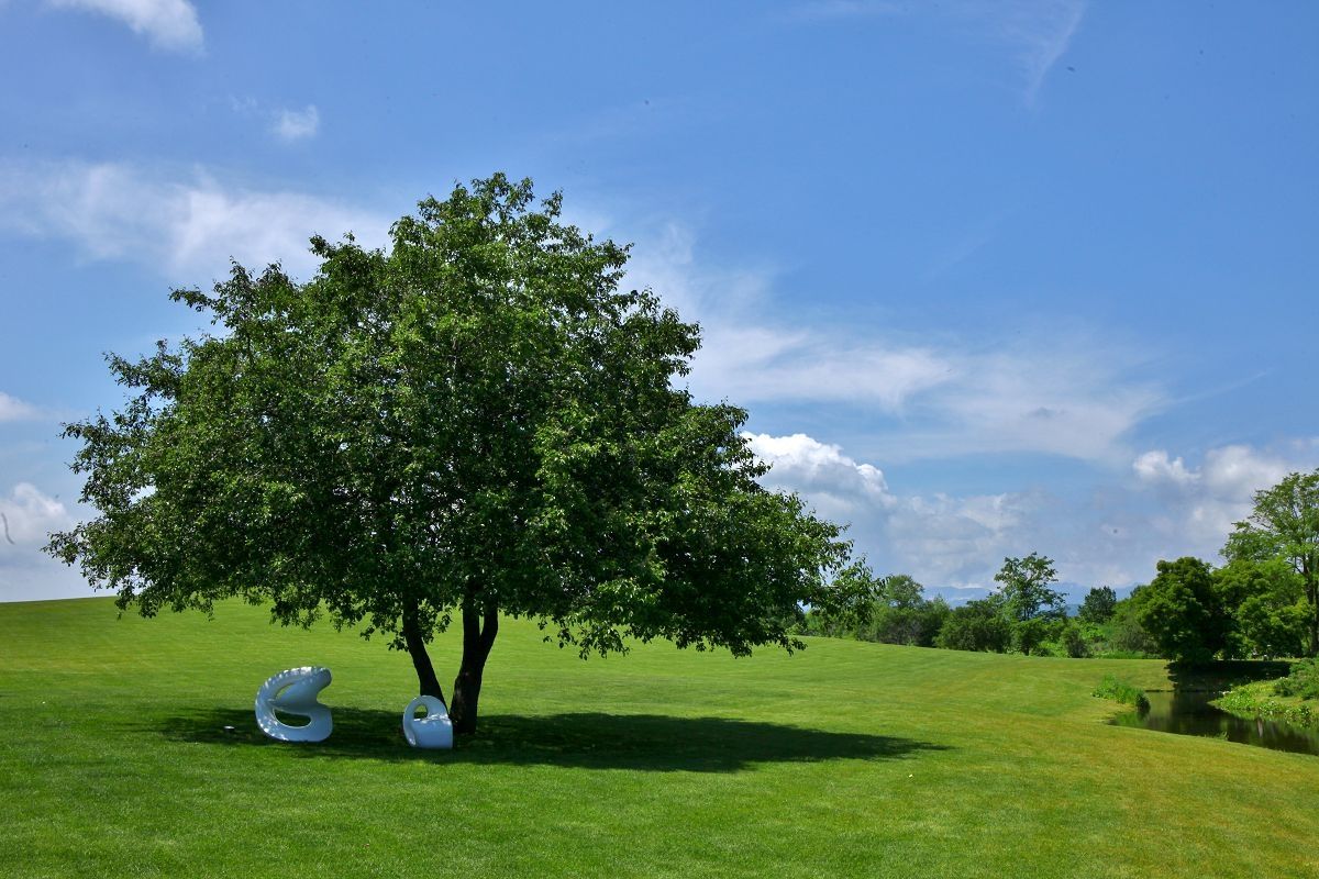 c0367515_114599.jpg