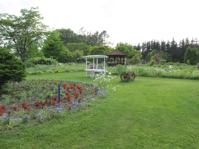 f0341616_20520413.jpg