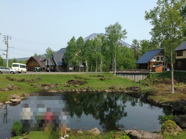 b0121019_20445581.png