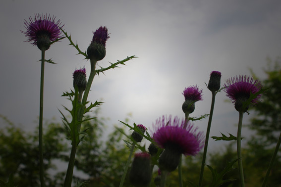 a0329820_09402371.jpg