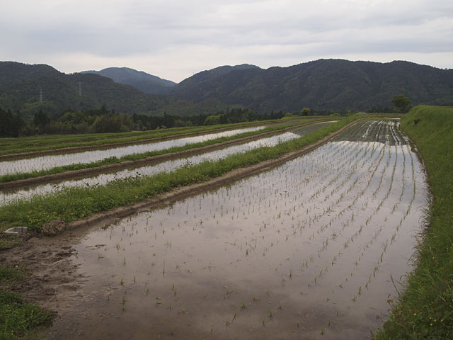 e0156224_193479.jpg