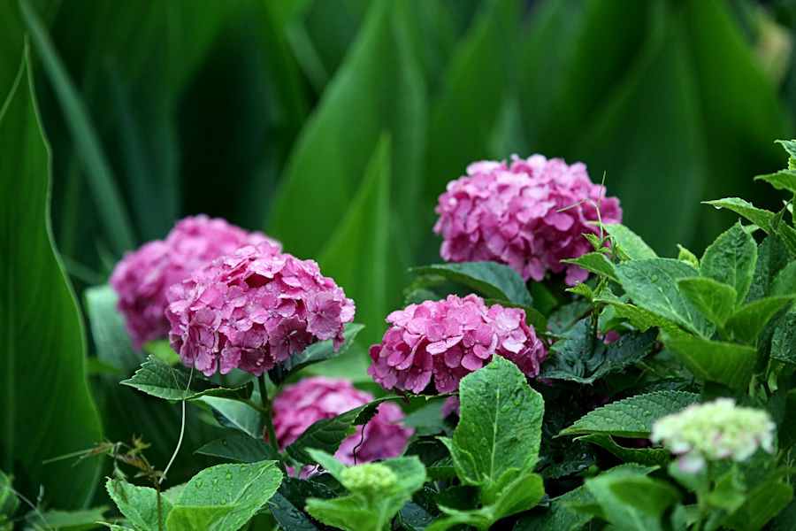 f0224624_22285683.jpg