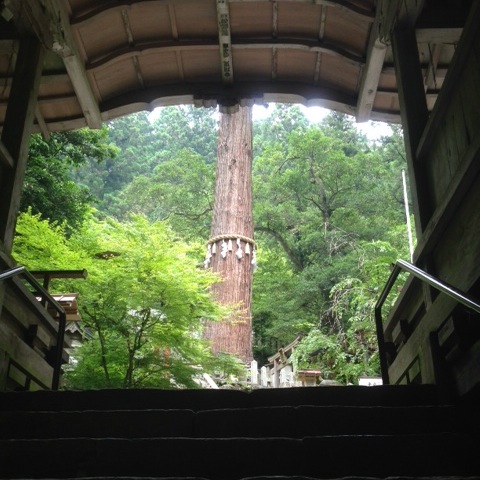 鞍馬山_b0181732_12125051.jpg