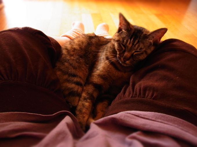 a0305046_09055747.jpg