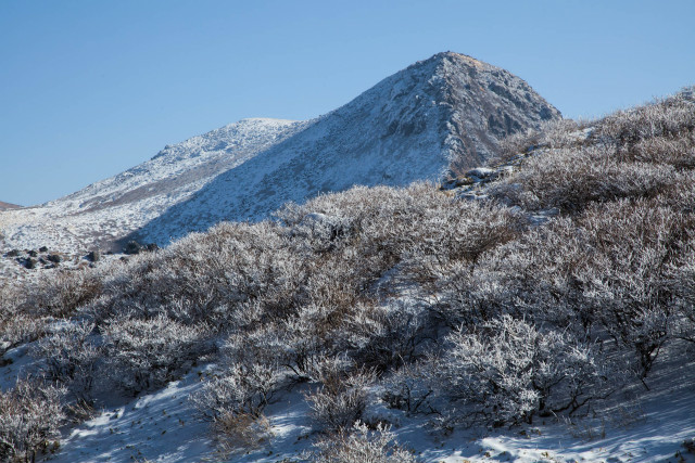 2014.12.30 久住山_e0151447_2112117.jpg