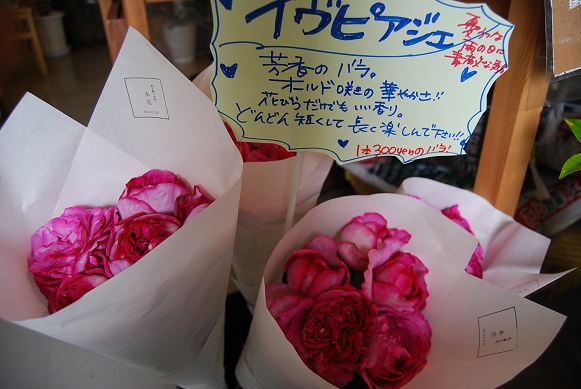 a0201358_2044423.jpg