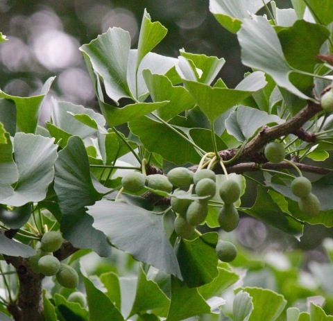 a0248459_18144887.jpg