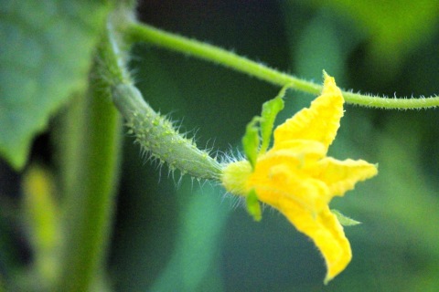 a0248459_18194931.jpg