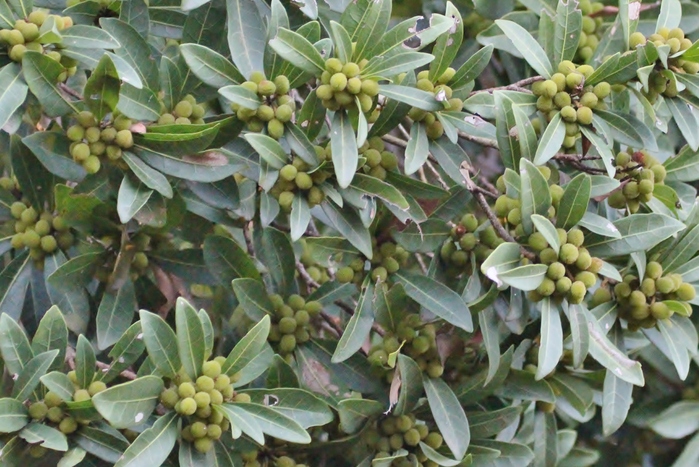 f0106759_62224.jpg