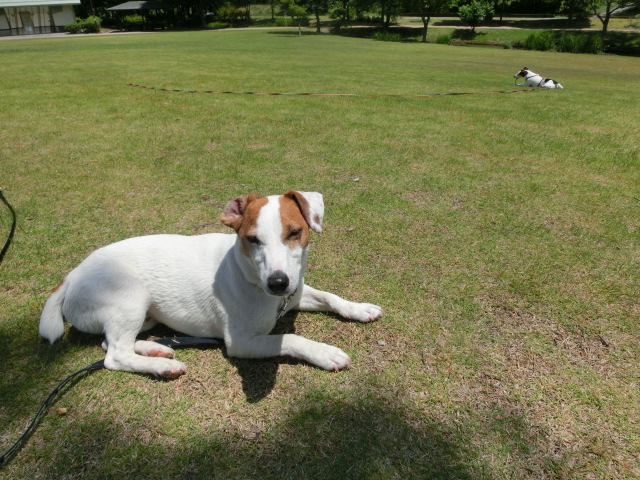 c0140260_02317.jpg