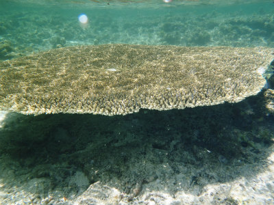 c0180460_15532190.jpg