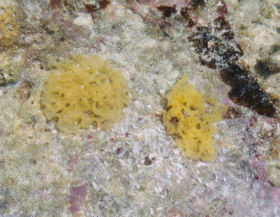 c0180460_1634655.jpg