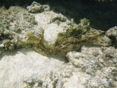 c0180460_1645548.jpg