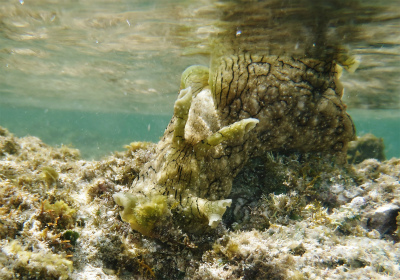 c0180460_1652126.jpg