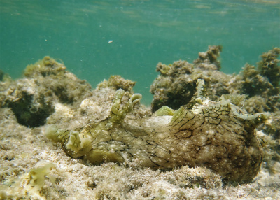 c0180460_1654261.jpg
