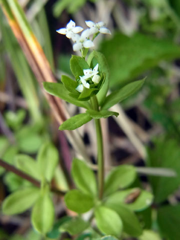 f0083977_20495532.jpg
