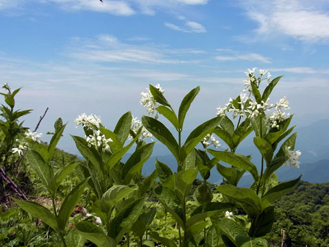 f0083977_2104083.jpg