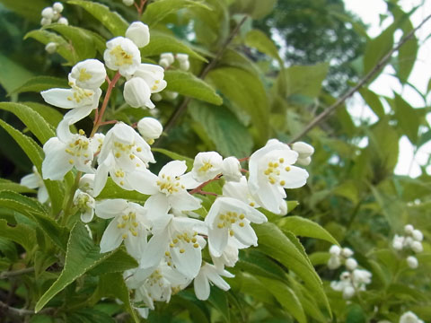 f0083977_2111348.jpg