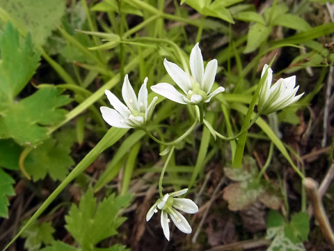 f0083977_2115325.jpg