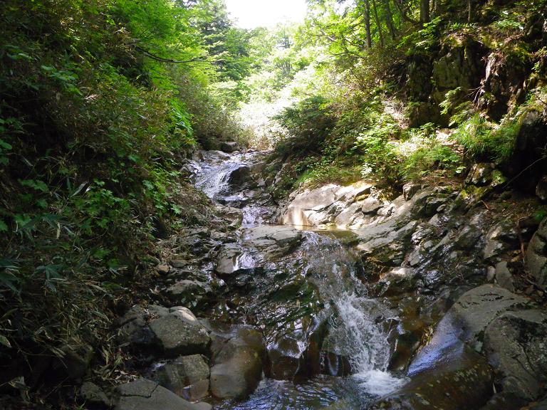 吾妻山・シモフリ新道からの一切経山 ～ ２０１５年６月１１日_f0170180_22332317.jpg