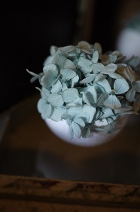 Blue Birdの紫陽花アレンジ❀_f0226293_747177.jpg