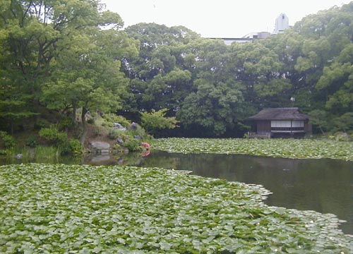 ●渉成園(枳殻邸)、その3_d0053294_1332550.jpg