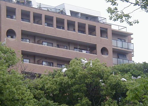 ●渉成園(枳殻邸)、その3_d0053294_133404.jpg