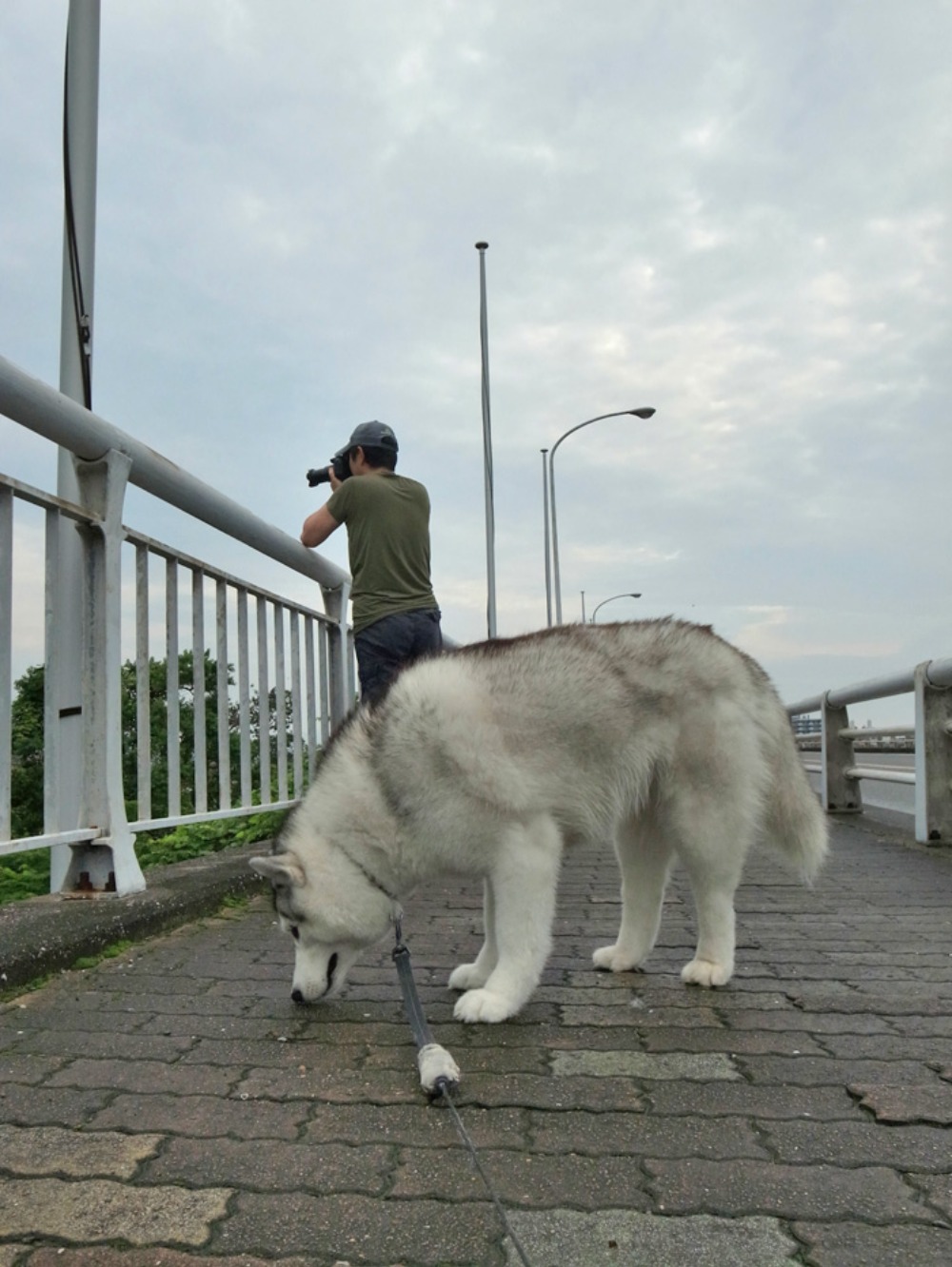 朝のお約束 (^o^)_c0049299_22484215.jpg